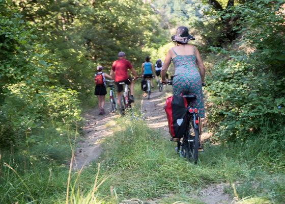 Visuel Les mots à vélo