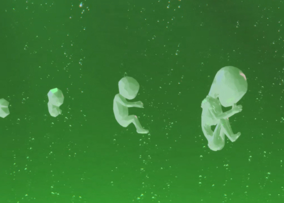 Visuel Créatures de substitution