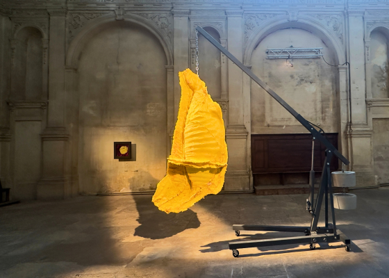 Visuel La Chute, histoire d'un châtiment silencieux