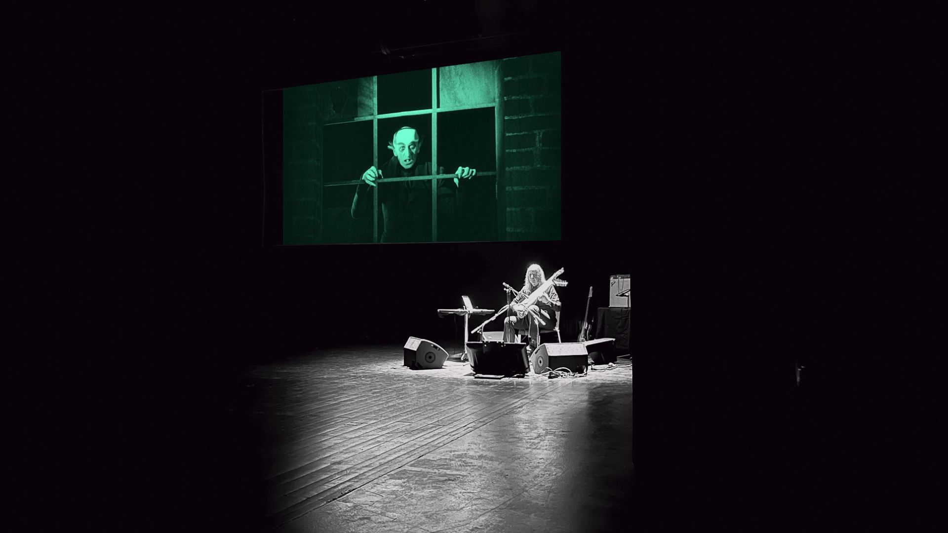Nosferatu, l'appel de l'oiseau de la mort | Josef van Wissem (Théâtre du Bois de l'Aune)